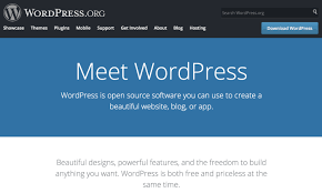 wordpress website