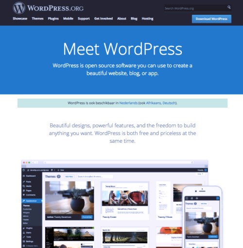 een website maken met wordpress