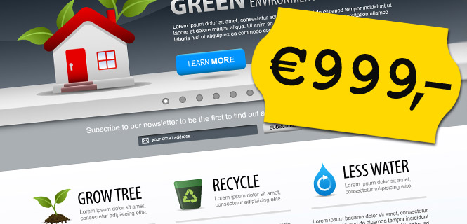 kosten webdesign website