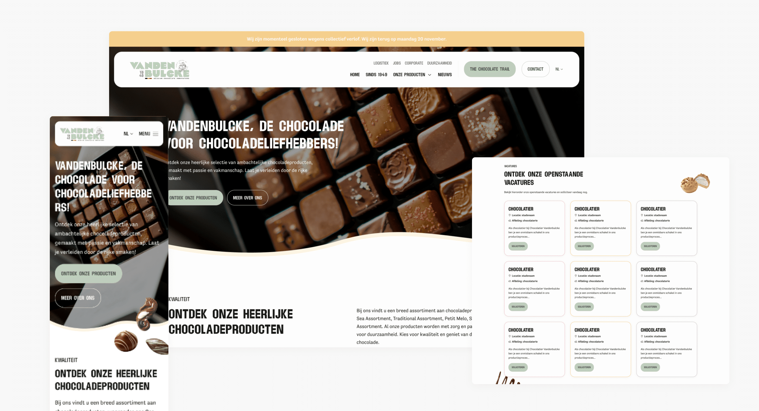 website laten maken aalst